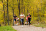 2025-10-11-5km_1252_6746.jpg