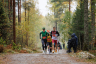 10km_1403_4036-Web.jpg