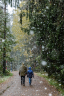 5km_1236_1862-Web.jpg