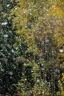 5km_1242_1871-Web.jpg